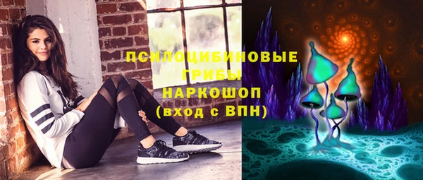 твердый Алексин